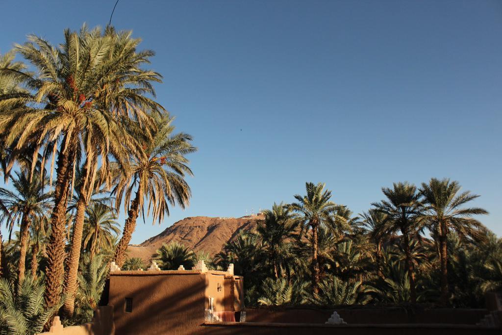 Riad Dar Zaouia Zagora Exteriör bild