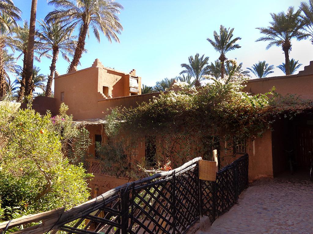 Riad Dar Zaouia Zagora Exteriör bild