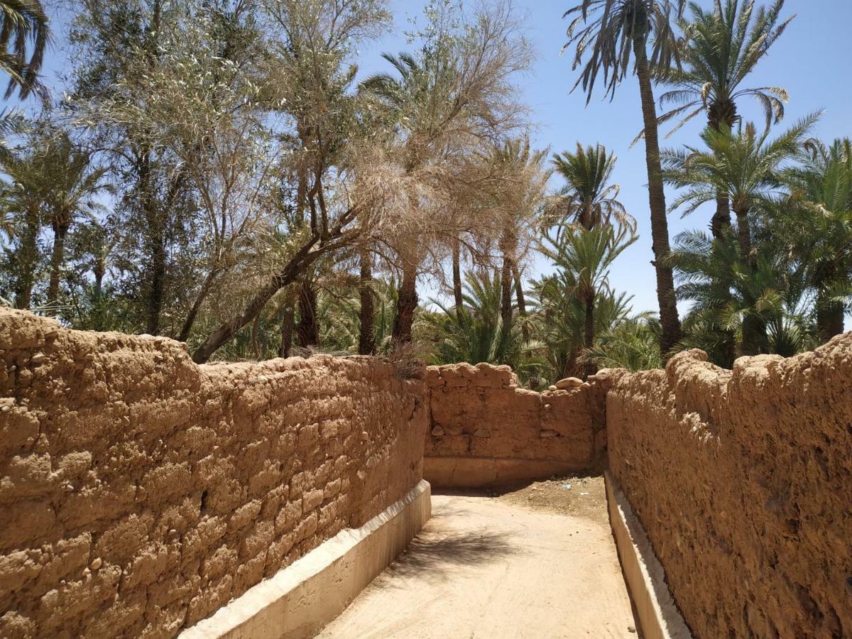 Riad Dar Zaouia Zagora Exteriör bild